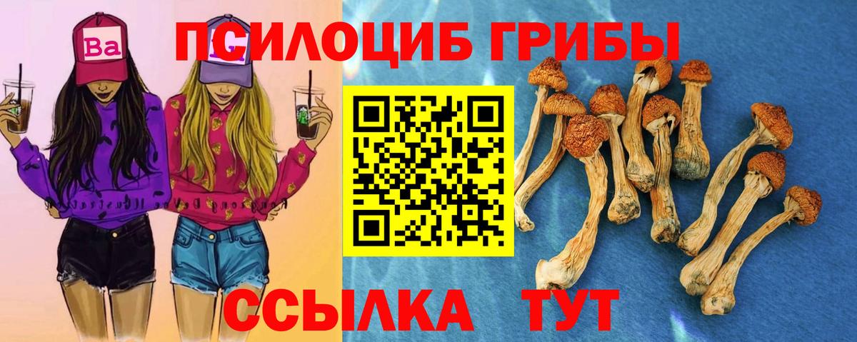 Сланцы  Галлюциногенные грибы прущие грибы  Вход с VPN  Галлюциногенные грибы Magic Shrooms 